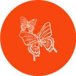 Conscious Solidarity icon two butterflies